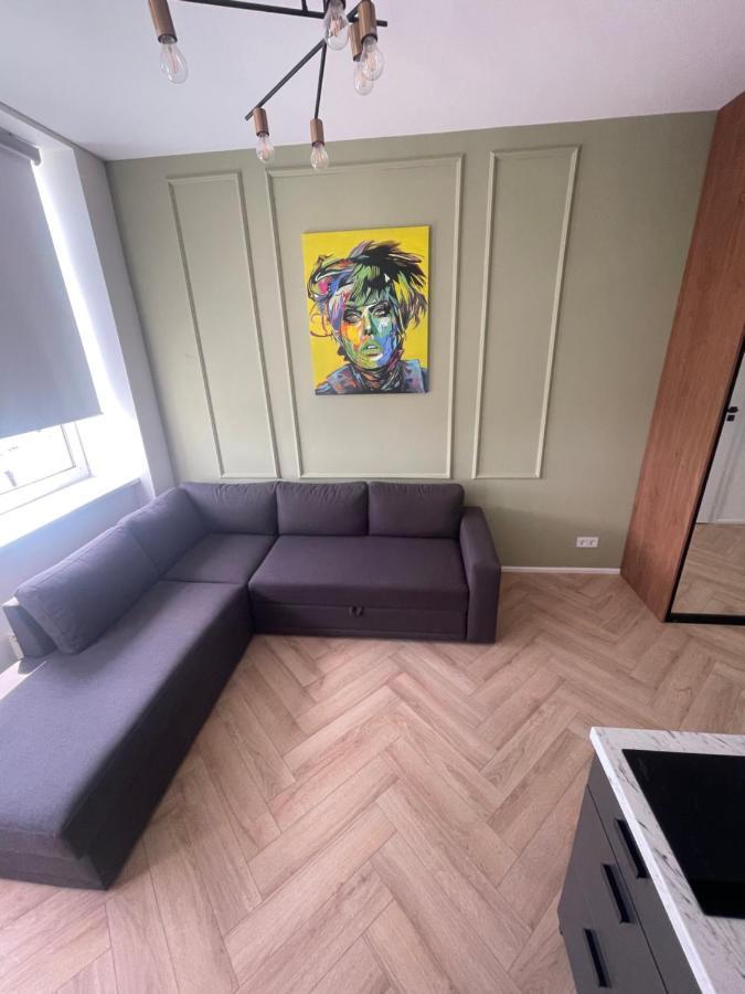 Airport Apartment 14 Self Check-In Free Parking VNO Exterior photo